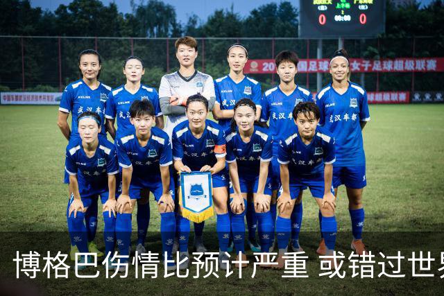 博格巴伤情比预计严重 或错过世界杯到明年才复出